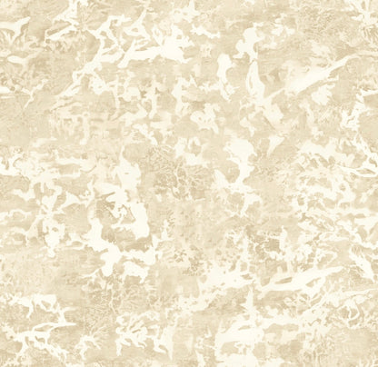 PATINA WALLPAPER: Champagne (2 Roll Pack)