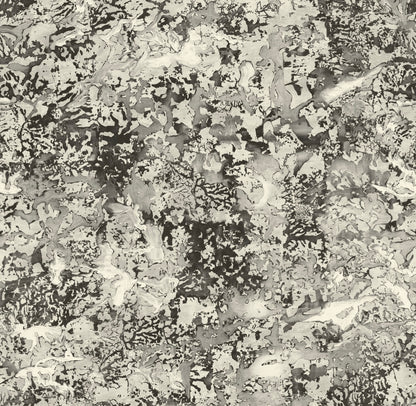 PATINA WALLPAPER: Sepia (2 Roll Pack)