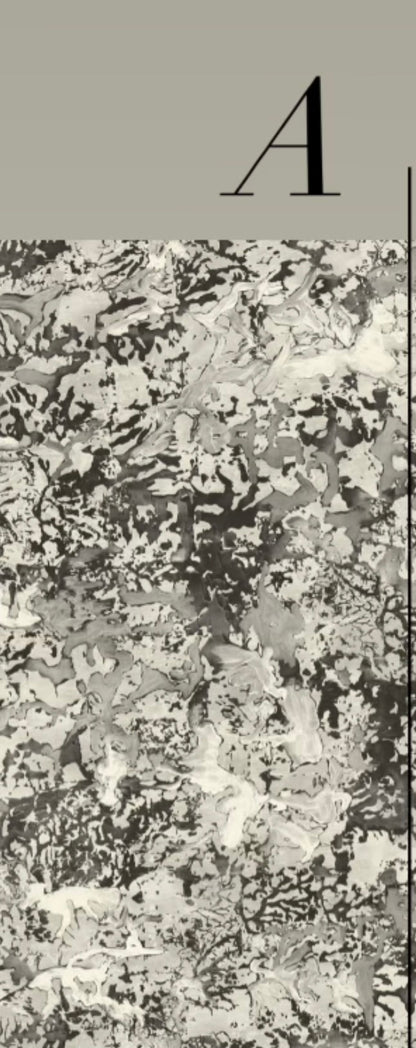 PATINA WALLPAPER: Sepia (2 Roll Pack)
