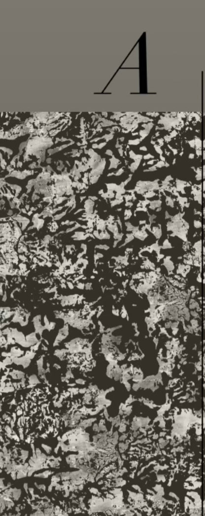 PATINA WALLPAPER: Pewter (2 Roll Pack)